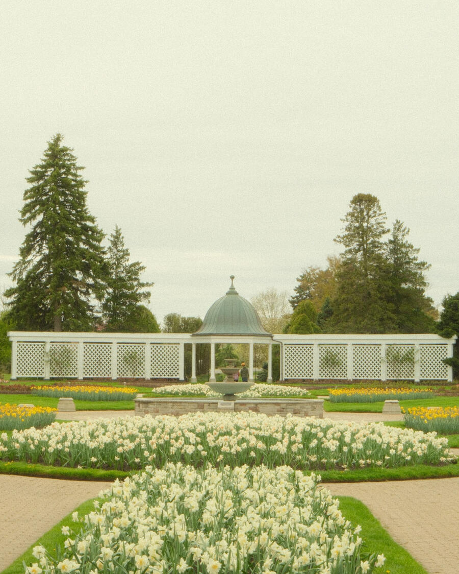 Flowers a botanical gardens in Niagara